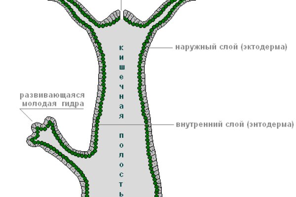 Сайт наркотиков купить