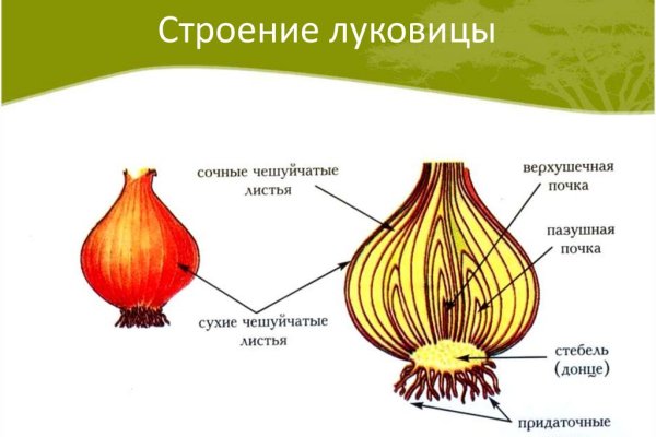 Кракен через браузер