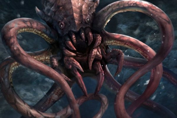 Kraken url