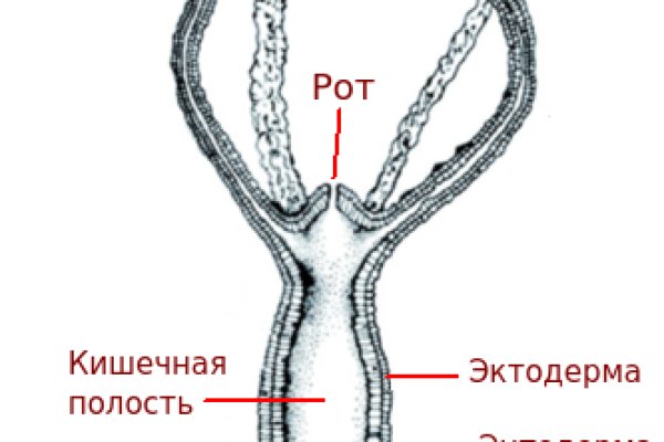 Кракен порошок