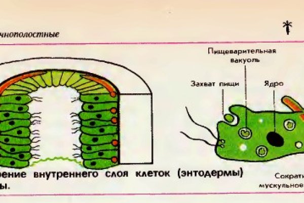 Как зайти в кракен торе