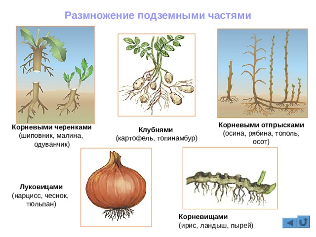 Кракен кз